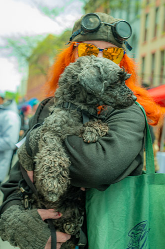 Troy Farmers Market  |  NY - May 2026